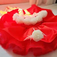 لباس تولد لباس پرنسسی|کفش و لباس بچه|شیراز, حجت آباد|دیوار