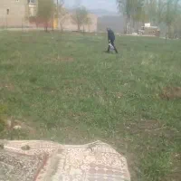 زمین باغ|فروش دفتر صنعتی، کشاورزی، تجاری|اهر, |دیوار
