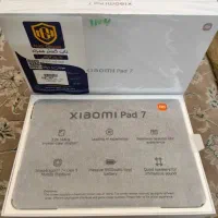 Pad 7 256GB