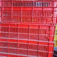 جعبه لاکی|عمدهفروشی|گمیشان, |دیوار