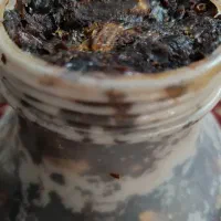 خرمای مضافتی|حراج|چابهار, |دیوار