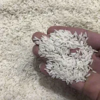 برنج کشت دوم اعلا