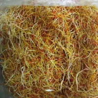 فروش ریشه زعفران