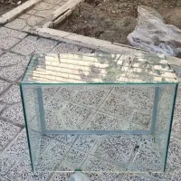 آکواریوم
