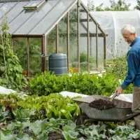 باغبانی هرس کاری تیلر زدن تعویض گلدان گل خاک کود