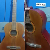 گیتار نو|گیتار، بیس، امپلیفایر|بیرجند, |دیوار