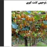 آموزش و نگارش طرح توجیهی و پایان نامه ( تخصصی)