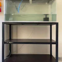 آکواریوم ماهیران