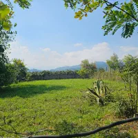 ۴۹۱ متر زمین مسکونی اسالم دارای سند تک برگ
