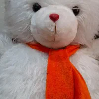 3 عددعروسک پولیشی شامل خرس و سگ وببر