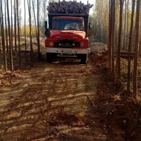 زمین کشاورزی واقع در نوروزآباد|فروش دفتر صنعتی، کشاورزی، تجاری|شاهین دژ, |دیوار