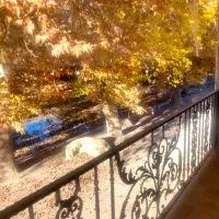 یه تیکه از بهشت تو دل طبیعت|اجارهٔ کوتاهمدت ویلا و باغ|سبزوار, ایزی شهر|دیوار