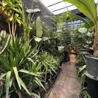 استخدام فوری متخصص گیاهان آپارتمانی