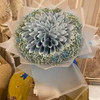 دسته گل پول|گل مصنوعی|نقده, |دیوار