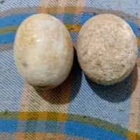 سنگ الماس آسیاب بزرگ تخم مرغی درحدپانصدگرم