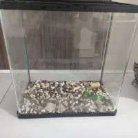 آکواریوم شیشه خم شرکتی