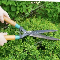 نظافت ساختمان کلی باغبانی با بهترین کیفیت|خدمات نظافت|درگهان, |دیوار