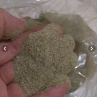 گزو گردستان