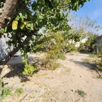 کردزار-500-متر-تا-1300