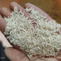 برنج دم سیاه درجه یک باآب چشمه جنگلی (مینودشت)