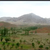 کارگر ترجیحا افغانی جهت نگهبانی و آبیاری باغ شخصی