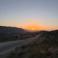 زمین سجادیه گیاهزار/فرصت استثنایی