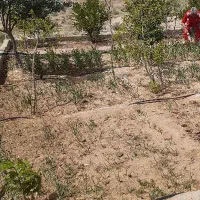 فروش زمین باغ ویلا