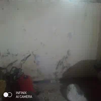 بنا هستم|خدمات پیشه و مهارت|چابهار, |دیوار