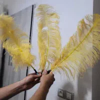 پر علامت