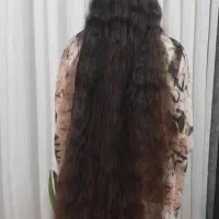 خرید و فروش موهای طبیعی با بالاترین قیمت|خدمات آرایشگری و زیبایی|شیراز, پودنک|دیوار