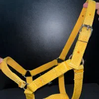 کله گیر پا آخوری اسب و گاو|اسب و تجهیزات اسبسواری|لاهیجان, کوی آزادگان|دیوار