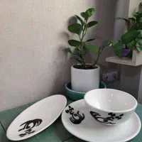 آغاز برگزاری دوره های سفال و سرامیک بزرگسالان|خدمات آموزشی|قم, میرزائیه|دیوار