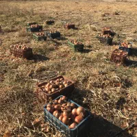 انبار برای اجاره