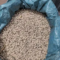 برنج عنبر بو به شرط پخت لوبیا چشم بلبلی و نیم دانه|خوردنی و آشامیدنی|دهلران, |دیوار