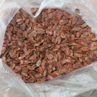 بتخمه هندوانه  ژاپنی