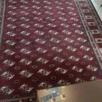 فرش دستبافت|فرش|قائمشهر, |دیوار