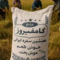 خرده برنج کامفیروزی  و برنج کامفیروزی اصل