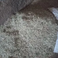 خار|لوازم جانبی حیوانات|فریمان, |دیوار