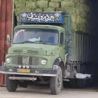 یونجه|لوازم جانبی حیوانات|شیراز, داریون|دیوار