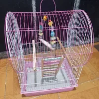 قفس پرنده|لوازم جانبی حیوانات|رشت, معلولین|دیوار