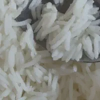 فروش برنج کشت دوم بی نام خالص