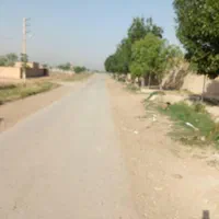 زمین زراعی/مناسب باغ پسته/ گلخانه/ زیر قیمت|فروش دفتر صنعتی، کشاورزی، تجاری|پیشوا, |دیوار