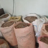 کود بلدرچین