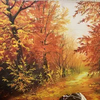 فون عکاسی