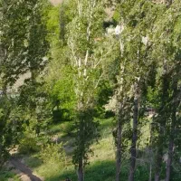 جایی-میان-آرامش-رودخانه-و-شکوه-کوهستان
