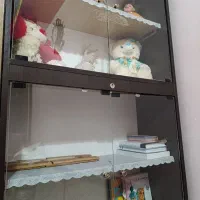 کمد کتابخانه|کتابخانه، شلف، قفسه‌های دیواری|سیرجان, |دیوار