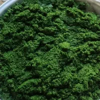 سوزی سورو اکین