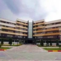 کار درهتل