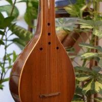 سه تار هاشمی کاسه کوچک