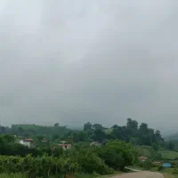 اجاره ی فوری